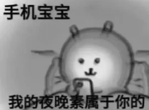 手机宝宝我的夜晚素属于你的