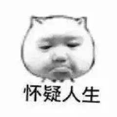 怀疑人生