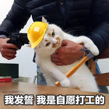 分享一点社畜表情包