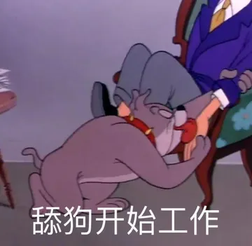 舔狗开始工作