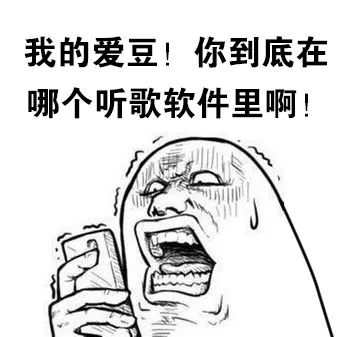 我的爱豆！你到底在哪个听歌软件里啊！