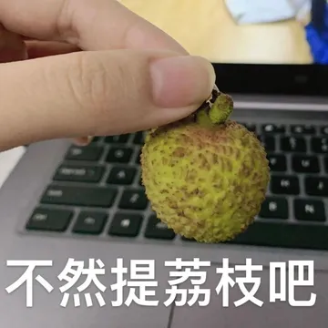 不然提离职吧 提荔枝