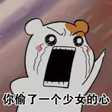 你偷了一个少女的心