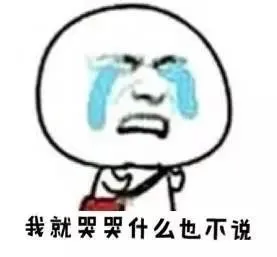 我就哭哭什么也不说