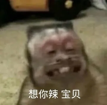 想你辣宝贝