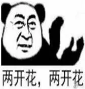 两开花.两开花