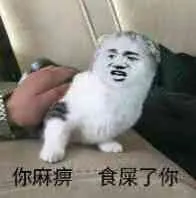 你麻痹，食屎了你 - 猫猫