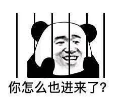 你怎么也进来了