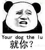 就你？ Your dog the lu