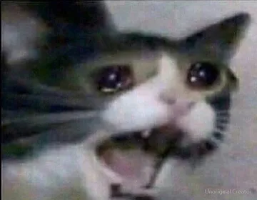 gato chorando