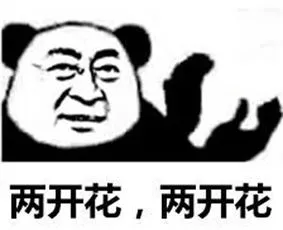 两开花.两开花