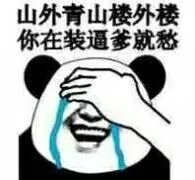 山外青山楼外楼，你在装逼爹就愁