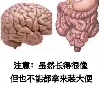 注意:虽然长得很像但也不能都拿来装大便