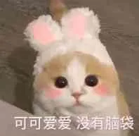 可可爱爱.没有脑袋