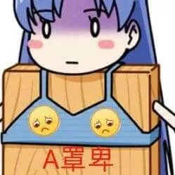 罩杯