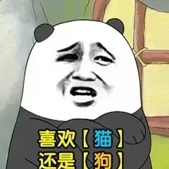 喜欢猫还是狗