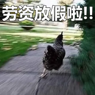 劳资放假啦！！（鸡鸡）