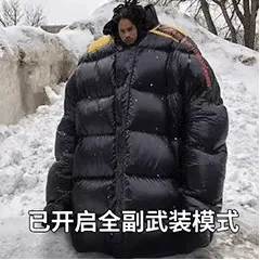 已开启全副武装模式