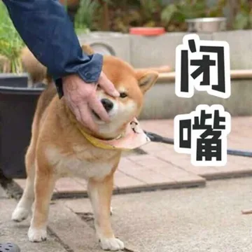 闭嘴