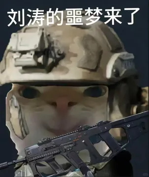 你有哪些好玩的《三角洲行动》表情包?