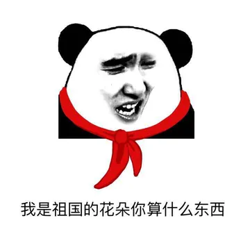 我是祖国的花朵你算什么东西？