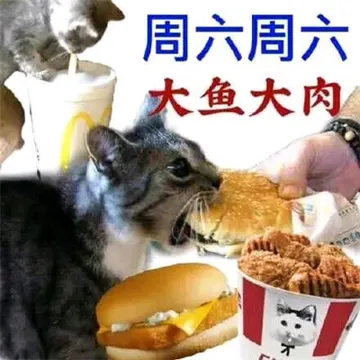 猫咪周一到周日的表情包（打工人版）