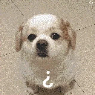 呆萌乖乖狗问号动图表情包