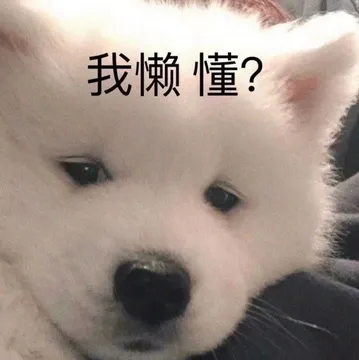 我懒懂?