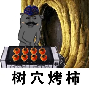 树穴烤柿(数学考试)