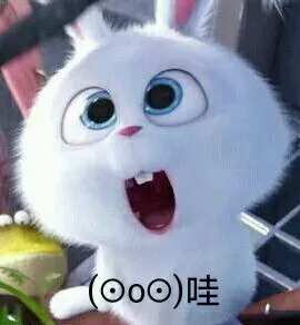 ⊙o⊙)哇