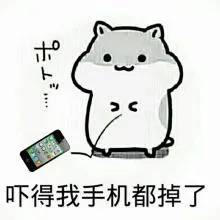 吓得我手机都掉了