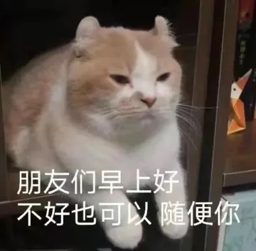 朋友们早上好 不好也可以 随便你