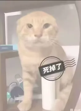 无名哈基米