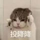 投降降