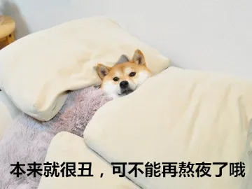 汪星人的表情