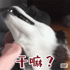 干嘛