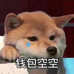 钱包空空