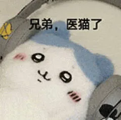 兄弟，医猫了(emo 表情包)