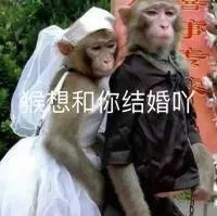 猴想和你结婚吖