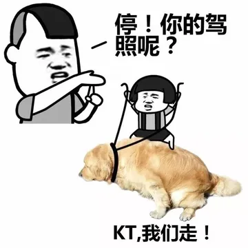 停！你的驾照呢？