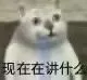 现在在讲什么