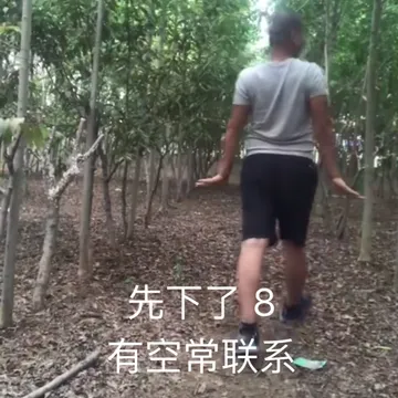 先下了 8 有空常联系（giao哥）