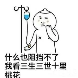 什么也阻挡不了我看三生三世十里桃花