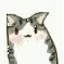 小猫