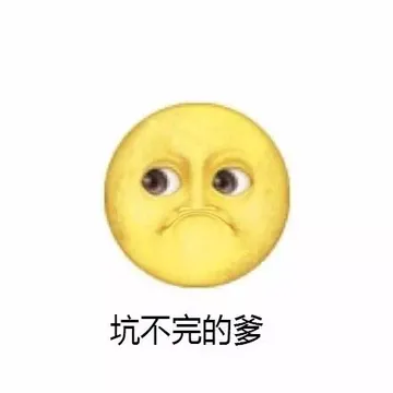 坑不完的爹