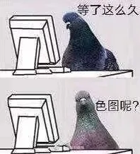 等了这么久，色图呢？