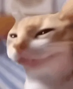 木嘿嘿嘿邪笑小猫表情包