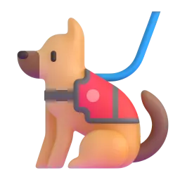 Service dog