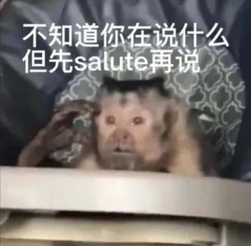 不知道你在说什么但先salute再说(吗喽表情包)