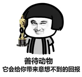 善待动物 它会给你带来意想不到的回报